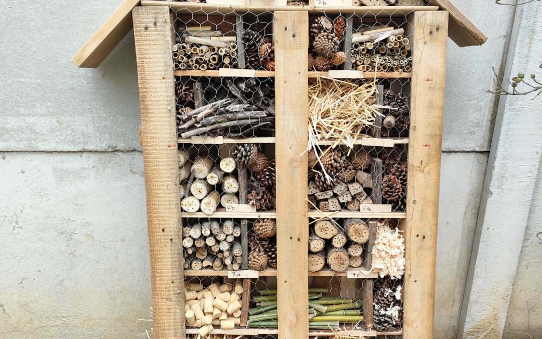 Rovarhotel az Andrássyban